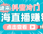 最新抖音冷门简单的蓝海直播赚钱玩法,流量大知道的人少,可做到全无人直播-52资源库