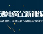 兴趣电商全新训练营:打破品销边界,带你玩转“兴趣电商“实现业务增长-52资源库