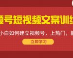 视频号短视频文案训练营:0基础小白如何建立视频号,上热门,能卖货!-52资源库