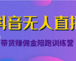 抖音无人直播带货赚佣金陪跑训练营(价值6980元)-52资源库