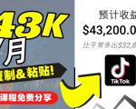 2022抖音国际版Tiktok赚钱项目:每天上传一个视频就轻松月入$43200-52资源库