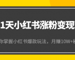 21天小红书涨粉变现营(第4期):带你掌握小红书爆款玩法,月赚10W+秘密-52资源库