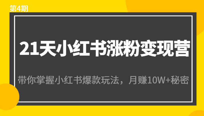 21天小红书涨粉变现营（第4期）：带你掌握小红书爆款玩法，月赚10W+秘密-52资源库
