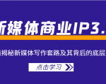 新媒体商业IP3.0,全面揭秘新媒体写作套路及其背后的底层逻辑(价值1299元)-52资源库