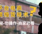 外面收费2980的全平台电商白嫖撸货技术(仅揭秘勿操作-商家防范必看)-52资源库