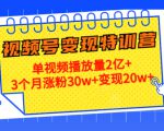 21天视频号变现特训营:单视频播放量2亿+3个月涨粉30w+变现20w+(第14期)-52资源库