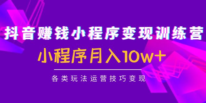 抖音赚钱小程序变现训练营：小程序月入10w+各类玩法运营技巧变现-52资源库
