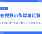 2023短视频带货爆单运营,从账号定位到学会选预爆品,到代理完成出单(价值1250元)-52资源库