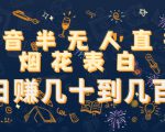 抖音半无人直播烟花表白,日赚几十到几百(教程+视频模板素材)-52资源库