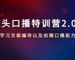 镜头口播特训营2.0版,学习文案编导以及拍摄口播能力(50节课时)-52资源库