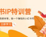 小红书IP特训营:从搭建-制作-爆款脚本等等,做一个赚钱的小红书号-52资源库