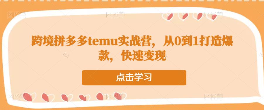 跨境拼多多temu实战营，从0到1打造爆款，快速变现-52资源库