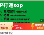 瑶瑶·自然流IP孵化,系统掌握IP孵化全流程,也能学到选题,剪辑,账号运营经验-52资源库