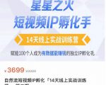 瑶瑶·自然流短视频IP孵化第二期，14天线上实战训练营，赋能100个人成为有数据能赚钱的独立IP孵化手-52资源库