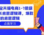 大圣淘宝天猫电商1-7层级盈利增长底层逻辑课,爆款的底层逻辑-52资源库
