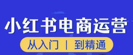 顽石小红书电商高阶运营课程，从入门到精通，玩法流程持续更新-52资源库