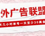 外面收费1980的最新国外LEAD广告联盟搬砖项目,单号一天至少30美金【详细玩法教程】-52资源库