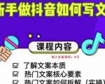 新手做抖音如何写文案,手把手实操如何拆解热门文案-52资源库