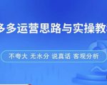 拼多多店铺运营思路与实操教程,快速学会拼多多开店和运营,少踩坑,多盈利-52资源库