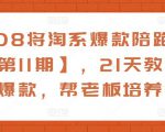 108将淘系爆款陪跑营【第11期】，21天教运营打爆款，帮老板培养运营-52资源库