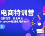 美团电商特训营:美团·店群玩法,无脑铺货月产出6000-15000+精细化月产2w+-52资源库