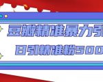 豆瓣精准暴力引流,日引精准粉500+【12课时】-52资源库