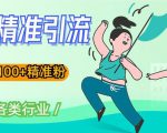 soul精准引流系列课程,一天引流100+精准粉,适合各类行业-52资源库