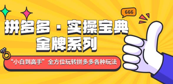 拼多多·实操宝典：金牌系列“小白到高手”带你全方位玩转拼多多各种玩法-52资源库