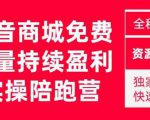 抖音商城搜索持续盈利陪跑成长营，抖音商城搜索从0-1、从1到10的全面解决方案-52资源库