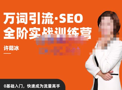 许茹冰·万词引流-SEO全阶实战训练营，0基础入门，快速成为流量高手-52资源库
