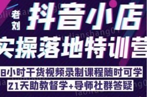 抖音小店实操落地特训营:抖音小店无货源精细化运营,抖店商品卡流量(22节)-52资源库