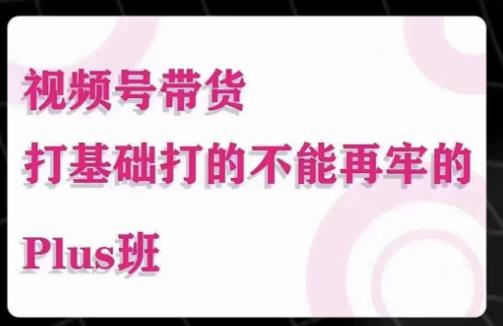 大播汇·视频号带货Puls班，视频号底层逻辑，起号自然流鱼塘等玩法-52资源库