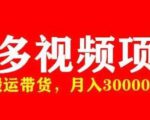 多多带货视频快速50爆款拿带货资格,搬运带货,月入30000【全套脚本+详细玩法】-52资源库
