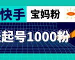 抖音快手三天起号涨粉1000宝妈粉丝的核心方法【详细玩法教程】-52资源库