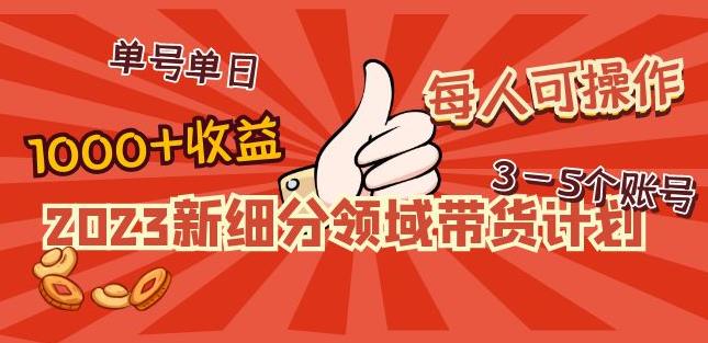 2023新细分领域带货计划：单号单日1000+收益不难，每人可操作3-5个账号-52资源库