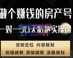刘广标·同城房产号线上陪跑课,拍摄、剪辑、写文案、直播,做一个具有潜力价值的房产号-52资源库