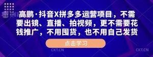 高鹏·抖音X拼多多运营项目,不需要出镜、直播、拍视频,不需要花钱推广,不用囤货,不用自己发货-52资源库