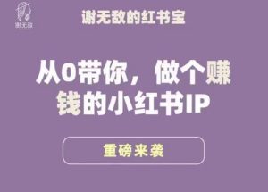 谢无敌·小红书运营大宝典,从0带你做个赚钱的小红书IP-52资源库