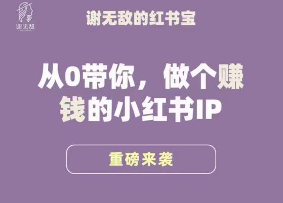谢无敌·小红书运营大宝典，从0带你做个赚钱的小红书IP-52资源库