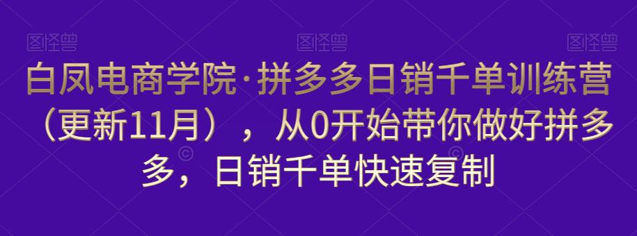 白凤电商学院·拼多多日销千单训练营，从0开始带你做好拼多多，日销千单快速复制（更新知2023年3月）-52资源库