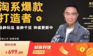 锋投老叶全店动销,淘系干货汇总,各种玩法,淘系爆款打造者-52资源库