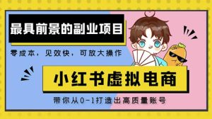 小红书蓝海大市场虚拟电商项目,手把手带你打造出日赚2000+高质量红薯账号-52资源库