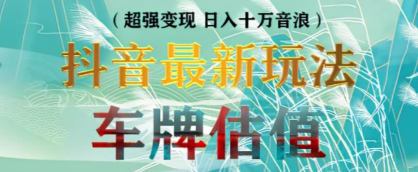 抖音最新无人直播变现直播车牌估值玩法项目，轻松日赚几百+【详细玩法教程】-52资源库