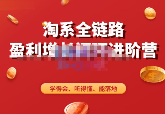 淘系全链路盈利增长闭环进阶营，融合全店动销，学得会、听得懂、能落地！-52资源库