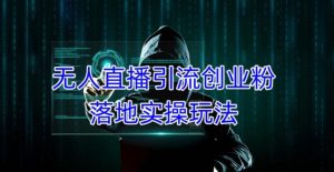 外面收费3980的无人直播引流创业粉落地实操玩法,单日引100+精准创业粉-52资源库