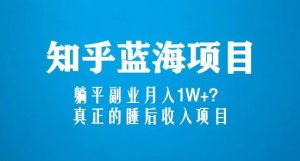 知乎蓝海玩法,躺平副业月入1W+,真正的睡后收入项目(6节视频课)-52资源库