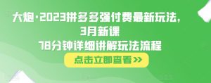 大炮·2023拼多多强付费最新玩法,3月新课78分钟详细讲解玩法流程-52资源库