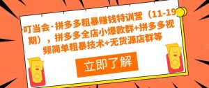 叮当会·拼多多粗暴赚钱特训营(11-19期),拼多多全店小爆款群+拼多多视频简单粗暴技术+无货源店群等-52资源库