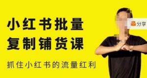 张宾·小红书批量复制铺货课,小红书0-1快速起号变现玩法,抓住小红书的流量红利(更新2023年3月)-52资源库
