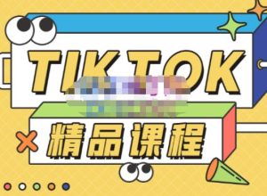 电商孵化中心·TikTok精品课程,教你玩转海外抖音,低成本创业,带您从0开始玩转TikTok-52资源库